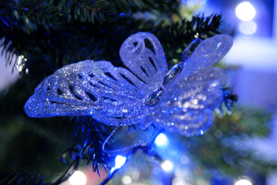 Christmas Tree 7, par Xavier E. G. Dierick